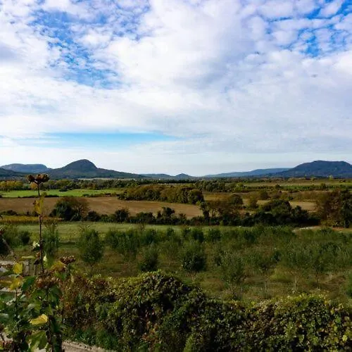 Feketebacs Nyaralohaz *